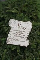 Сувенирная табличка "Указ"