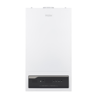 Газовый котёл Haier ProLine S 2.35 ТiW