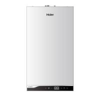 Газовый котёл  Haier TechLine S 2.10 ТW